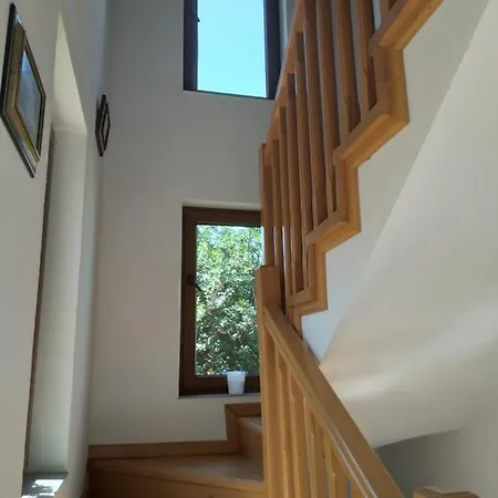 Coquette Apartment Brasov